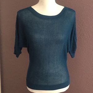 Express Blue Sheer Sweater